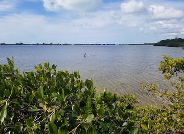 florida/big-bend/landmark/lemon-bay-park-environmental-center