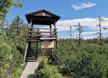 czechia/krkonose/landmark/cernohorske-raseliniste