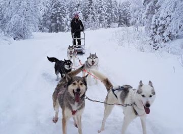 finland/pyha-luosto-national-park/landmark/pyha-husky-farm