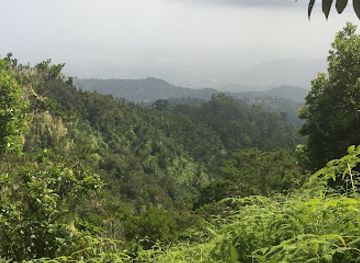 jamaica/john-crow-mountains/landmark/blue-mountain-peak