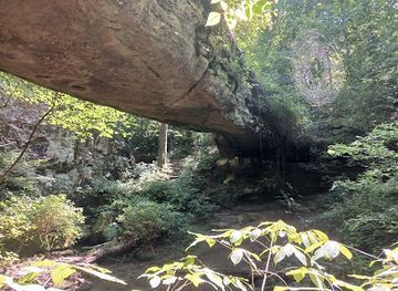 illinois/illinois-ozarks/landmark/pomona-natural-bridge