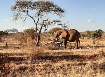 kenya/amboseli-national-park/landmark/tsavo-east-national-park