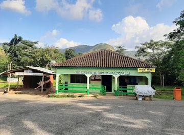 ghana/northern-region/landmark/wli-agumatsa-waterfalls