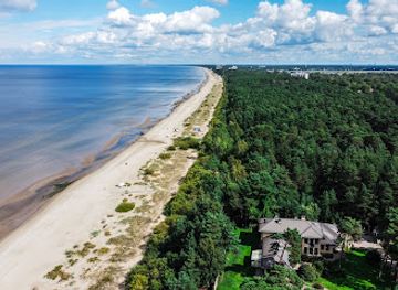 latvia/jurmala/landmark/pine-trees-of-rainis