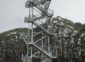 australia/yarra-valley/landmark/rainforest-gallery