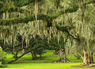 louisiana/acadiana/landmark/jungle-gardens