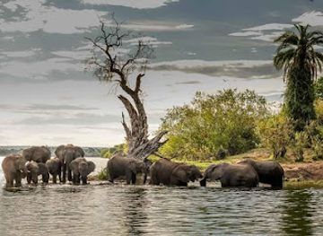zimbabwe/chimanimani-national-park/landmark/zambezi-national-park