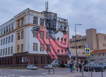 lithuania/kaunas/old-town-senamiestis/landmark/the-wise-old-man