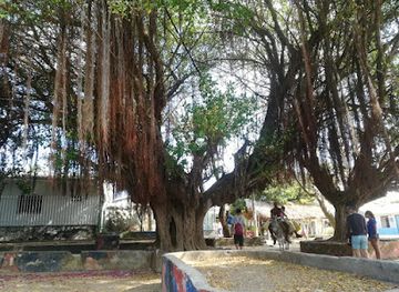 colombia/insular-region/landmark/fuerte-island