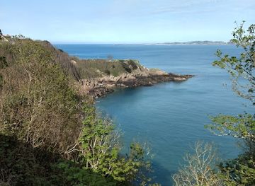 guernsey/st-martin/landmark/bluebell-woods