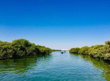 qatar/al-thakira-mangroves/landmark/dhakira-mangrove