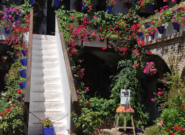 Casa Patio San Basilio 40