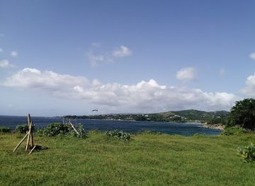 trinidad-and-tobago/buccoo-reef/landmark/being-with-horses