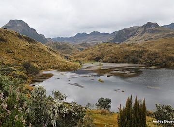ecuador/oriente/landmark/laguna-toreadora