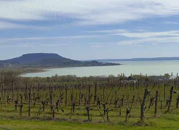 hungary/lake-balaton/landmark/csodabogyos-cave-balatonederics
