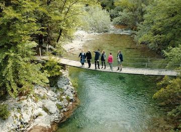 slovenia/posavje/landmark/ptich-slovenia-music-trips-ljubljana-urban-tours