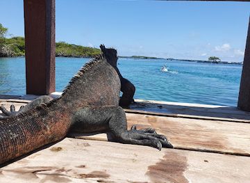 ecuador/galapagos-islands/landmark/pearl-shell