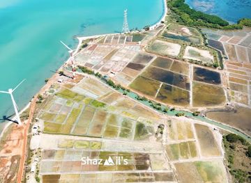 sri-lanka/puttalam-district/landmark/mangrove-beach