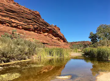 Palm Valley