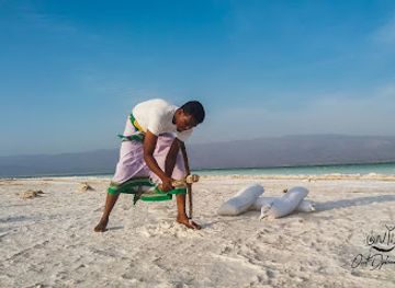 djibouti/godoria-mangrove/landmark/djibouti-s-national-tourist-office