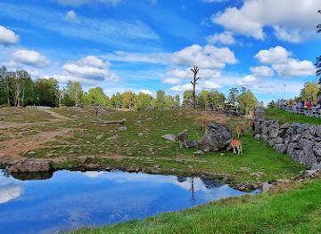 sweden/vastergotland/landmark/boras-zoo