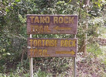 ghana/ahafo-region/landmark/tano-sacred-grove-and-shrine
