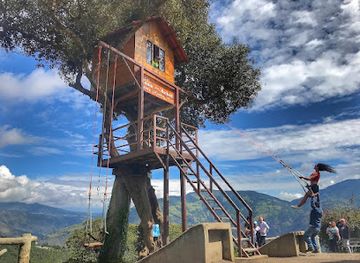 ecuador/ambato/landmark/la-casa-del-arbol