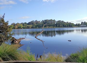 Hamilton Lake Domain