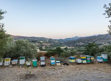 Bee & Embroidery Museum