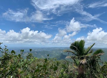 puerto-rico/yunque-national-forest/landmark/tres-picachos
