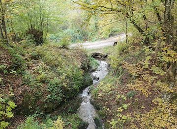 bosnia-and-herzegovina/bosnian-podrinje-canton/landmark/rimski-most