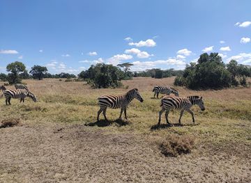 kenya/laikipia-plateau/landmark/ol-pejeta-conservancy