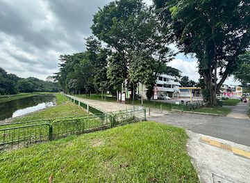 singapore/novena/landmark/springleaf-nature-park