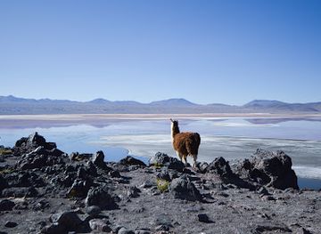 bolivia/uyuni/landmark/senda-andina