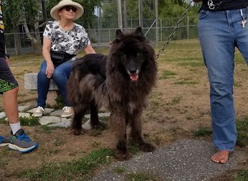 maine/hancock-county/landmark/kisma-preserve