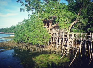 philippines/siquijor/landmark/guiwanon-spring-park