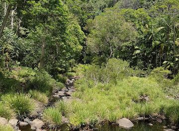 australia/northern-rivers/landmark/protesters-falls-walking-track