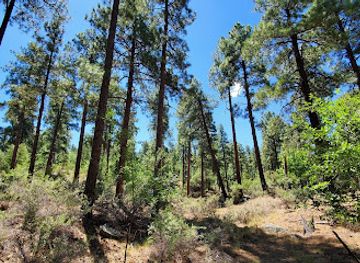 arizona/prescott-national-forest/landmark/groom-creek-schoolhouse