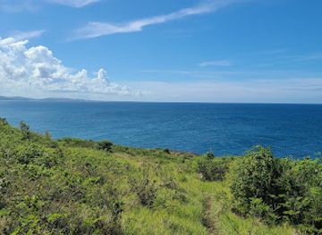 puerto-rico/fajardo/landmark/la-chiva-natural