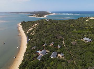 mozambique/inhaca-island/landmark/balistidae-at-nhoxani