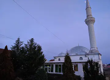 Xhamia E Tavnikut