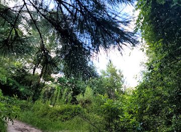 texas/the-woodlands/landmark/matthew-burnett-homesite-texas-historical-commission-monument