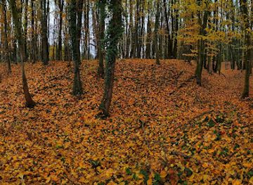 hungary/somogy/landmark/torokhanyas