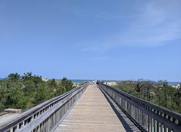 delaware/rehoboth-beach/landmark/cape-henlopen-state-park