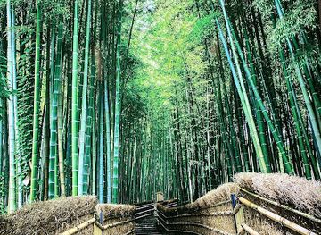 japan/kinki-kansai/landmark/arashiyama