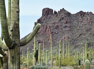 Organ Pipe Cactus National Monument