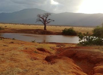 kenya/watamu/landmark/in-kenya-con-alessandro