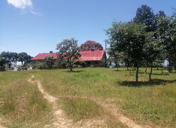 malawi/livingstonia/landmark/stone-house-museum