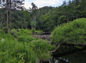vermont/stowe/landmark/moss-glen-falls-parking