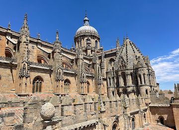 spain/salamanca/landmark/ieronimus-tower-old-cathedral